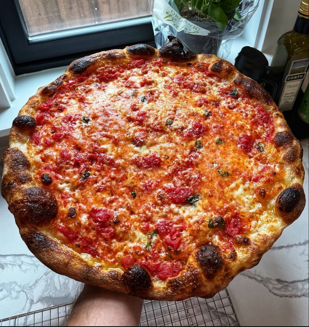 Cheesy pizza with tomato sauce 